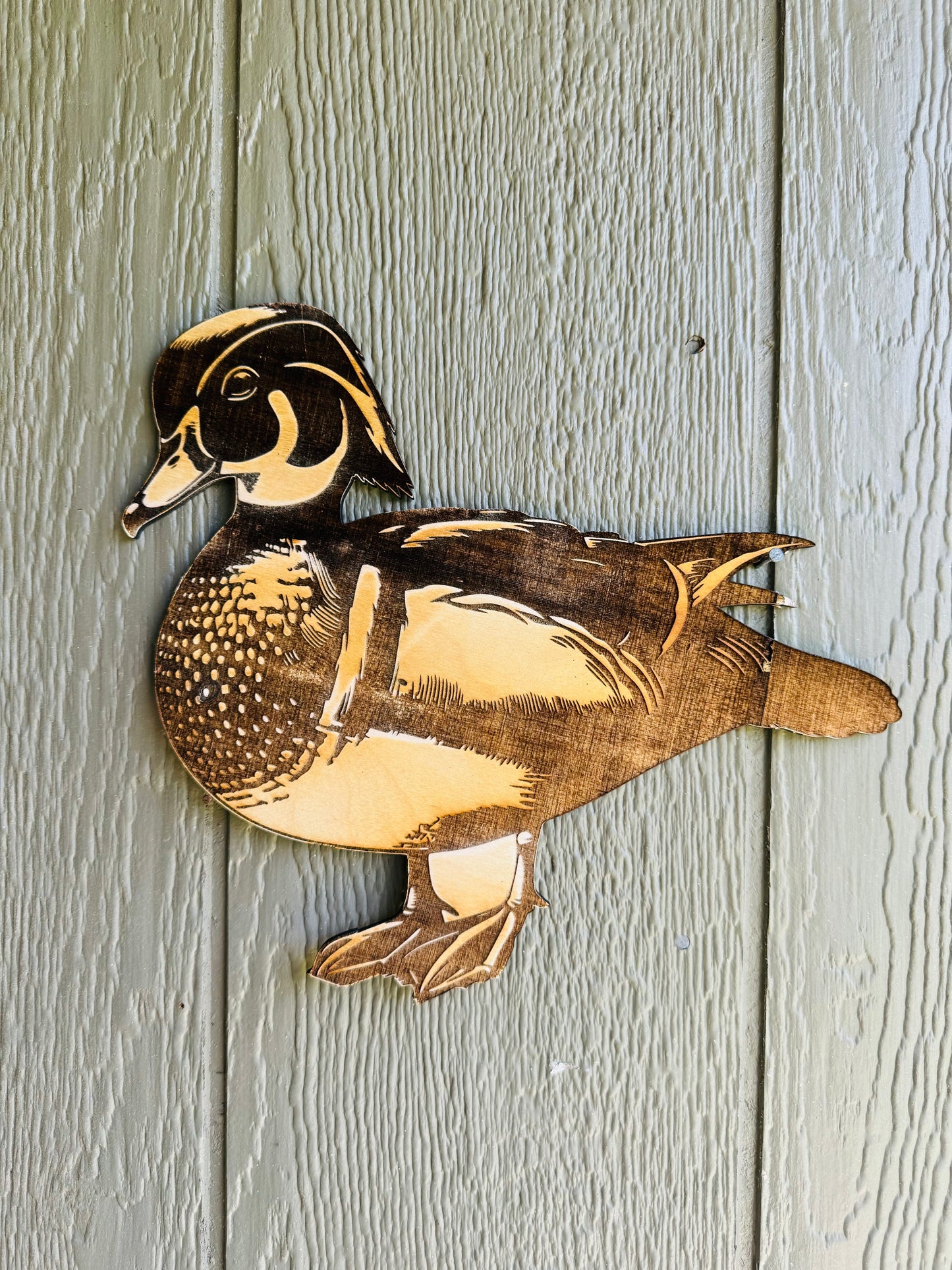Engraved Wood Duck