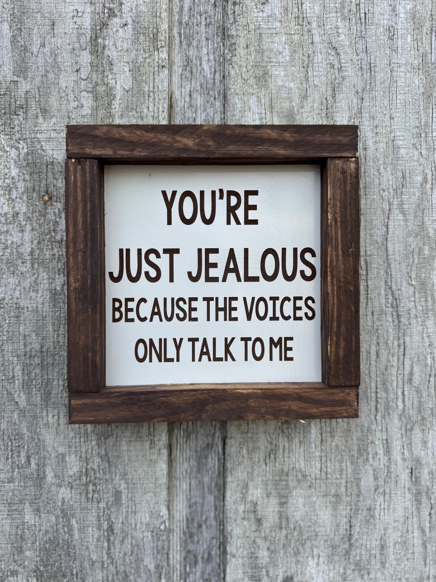You're Just Jealous The Voices Only Talk to Me