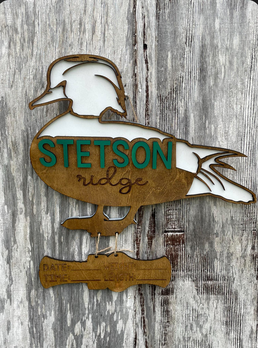 Wood Duck Hospital Door Hanger